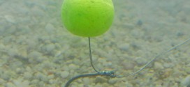 Pop up boilies