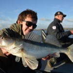 Snoekbaars filmpjes: Snoekbaarzen met Bertus Rozemeijer